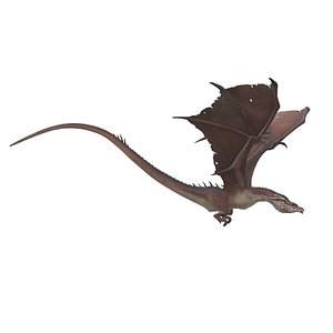 Flying Dragon 3D model