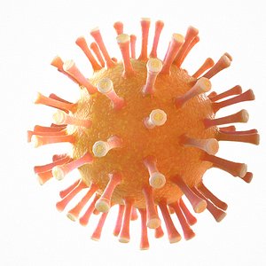 modeled coronavirus covid 19 3D