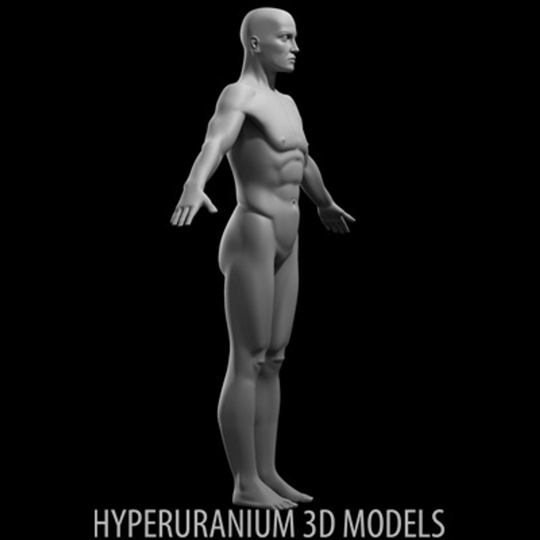 human body 3d model https://p.turbosquid.com/ts-thumb/0a/mB0cNs/8QFSzKHX/hyperbody_03/jpg/1123771437/1920x1080/fit_q87/434f6a0d532ed04091942fcc0dea739dcbb8c979/hyperbody_03.jpg