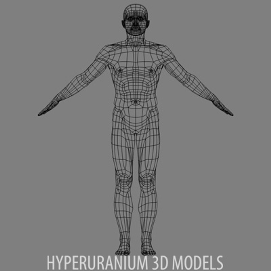 Human Body 3d Model