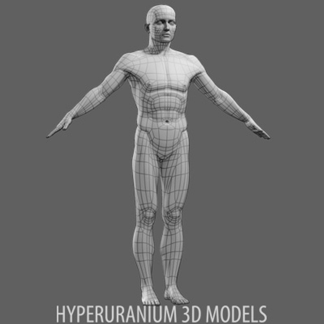 Human Body 3d Model