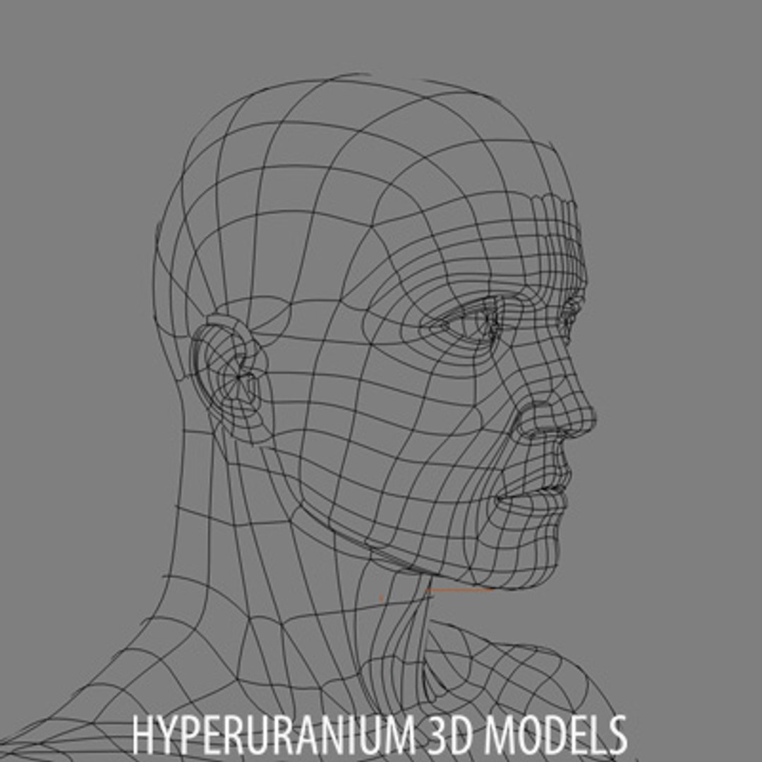 Human Body 3d Model