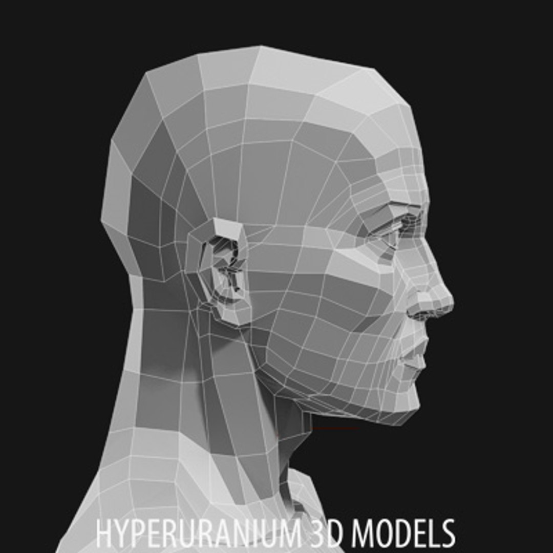 Human Body 3d Model