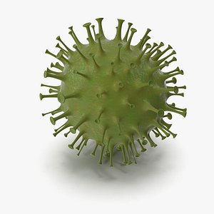 Coronavirus