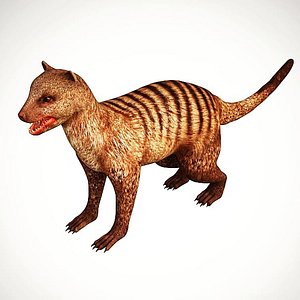 Mongoose