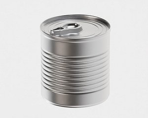 Can 3D model