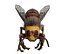 Bee 3D