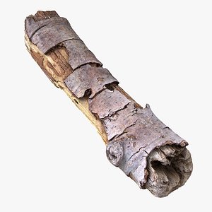 3D Twig 04 model