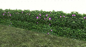 3d model plant hedge