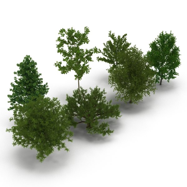 summer trees 3d max