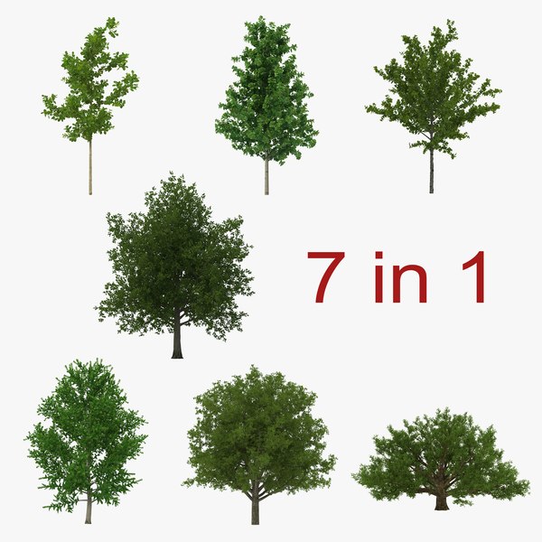 Tree Big 3D Models for Download | TurboSquid