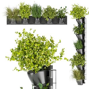 Collection plant vol 238 - leaf - pot 3D model