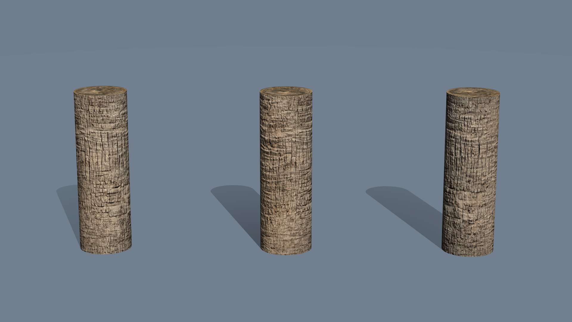 Washingtonia palm unbarked 3xPBR 8K model https://p.turbosquid.com/ts-thumb/0c/EArqeu/1o/mat_a03/jpg/1763621836/1920x1080/fit_q87/42fdca19c66488c1e3179ec599b3c1d597a889df/mat_a03.jpg