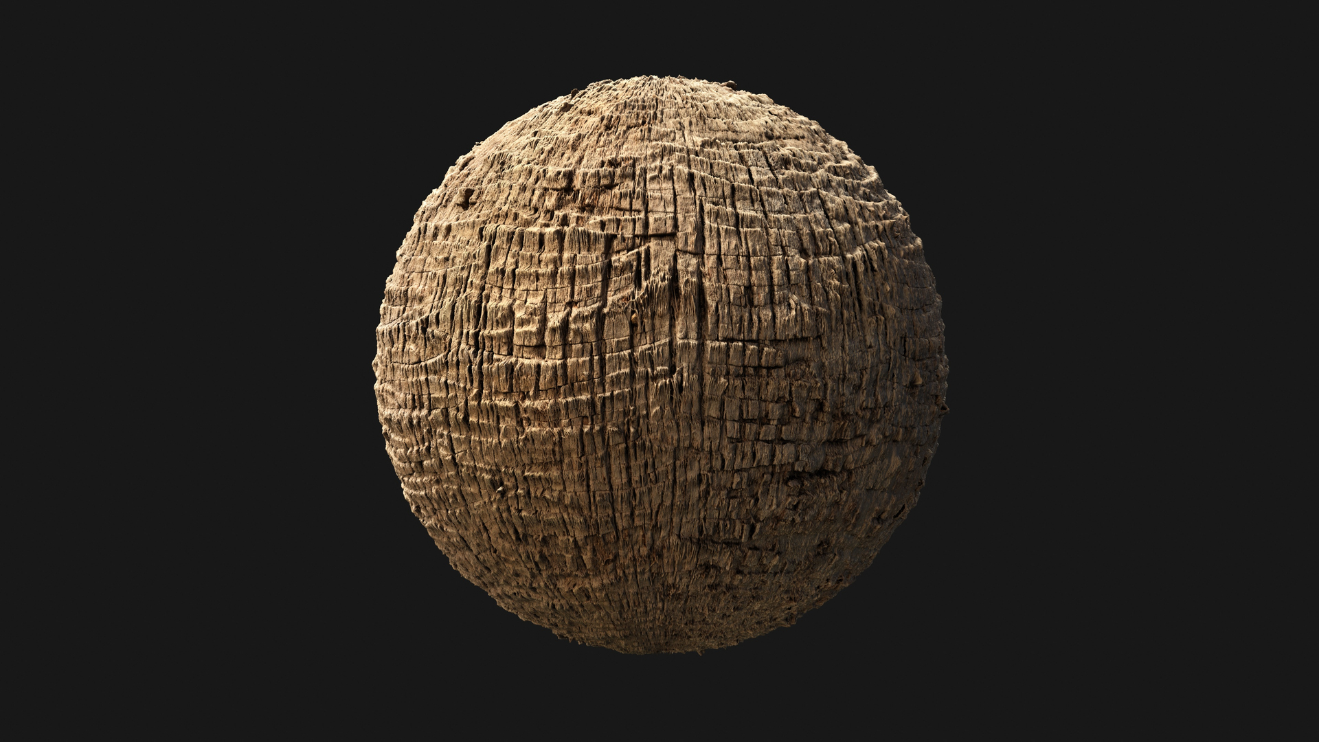 Washingtonia palm unbarked 3xPBR 8K model https://p.turbosquid.com/ts-thumb/0c/EArqeu/Dn/palm_f/jpg/1763623415/1920x1080/turn_fit_q99/3978e72724511bcad66513e40813498172883f75/palm_f-1.jpg