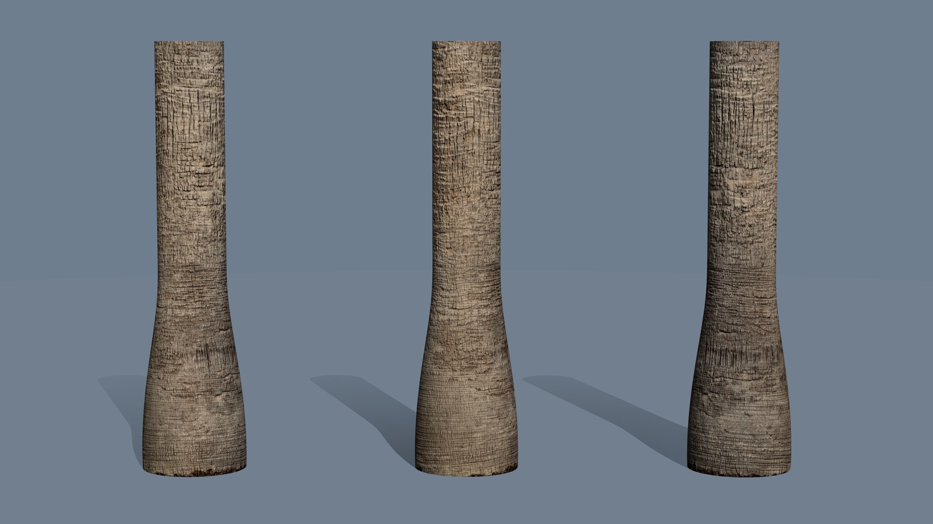 Washingtonia palm unbarked 3xPBR 8K model https://p.turbosquid.com/ts-thumb/0c/EArqeu/Is/mat_a04/jpg/1763621836/1920x1080/fit_q87/4ed1726ba2296dd2fcb6ebf0ef9ee6a46d9a1f84/mat_a04.jpg