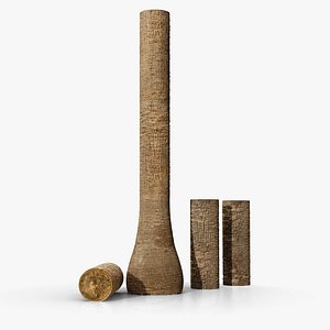 Washingtonia palm unbarked 3xPBR 8K model