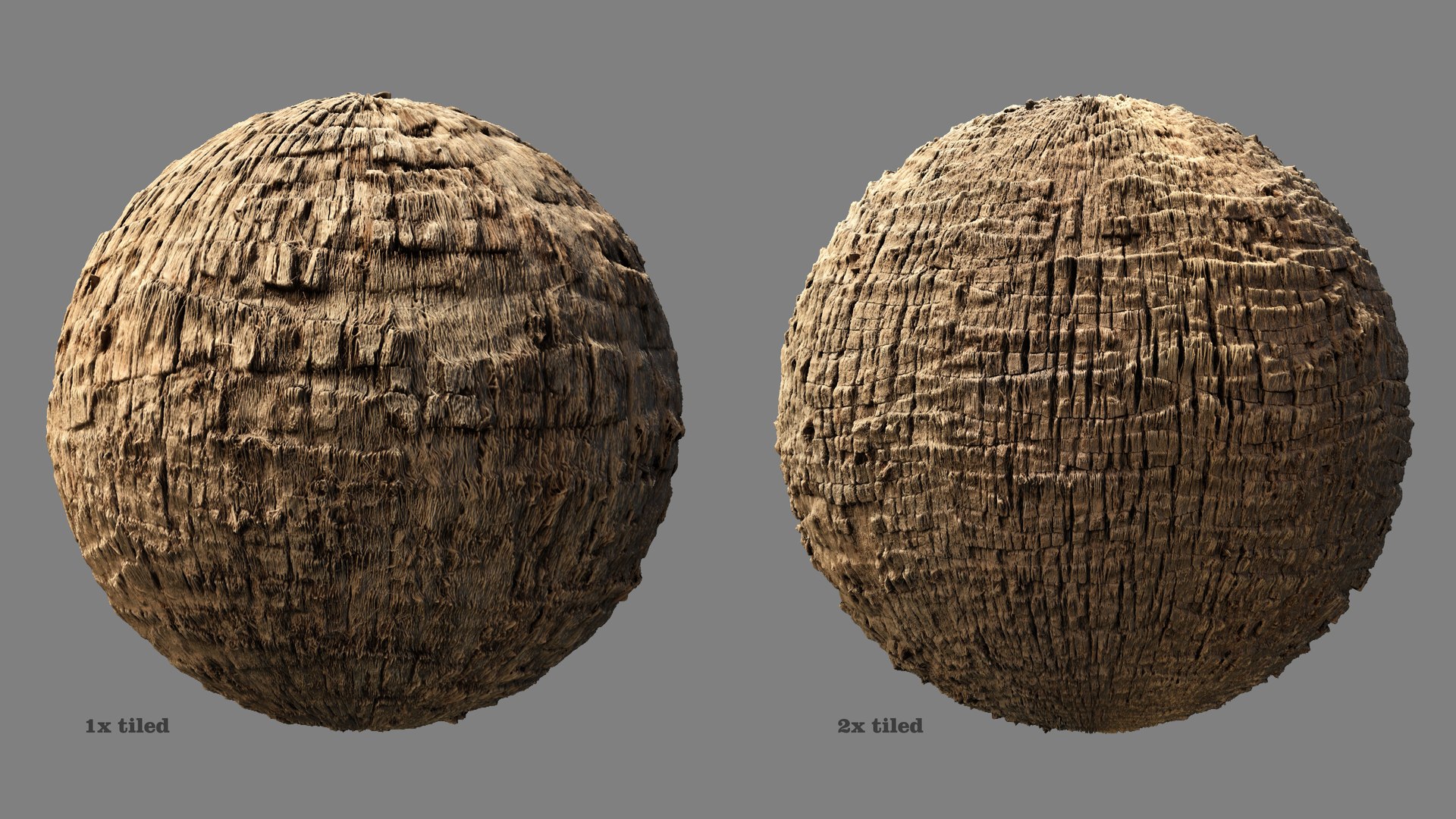 Washingtonia palm unbarked 3xPBR 8K model https://p.turbosquid.com/ts-thumb/0c/EArqeu/P5/washingtonia03/jpg/1763622054/1920x1080/fit_q87/545f7f9415cdf7e42e5a793a095653f84fdd5f49/washingtonia03.jpg