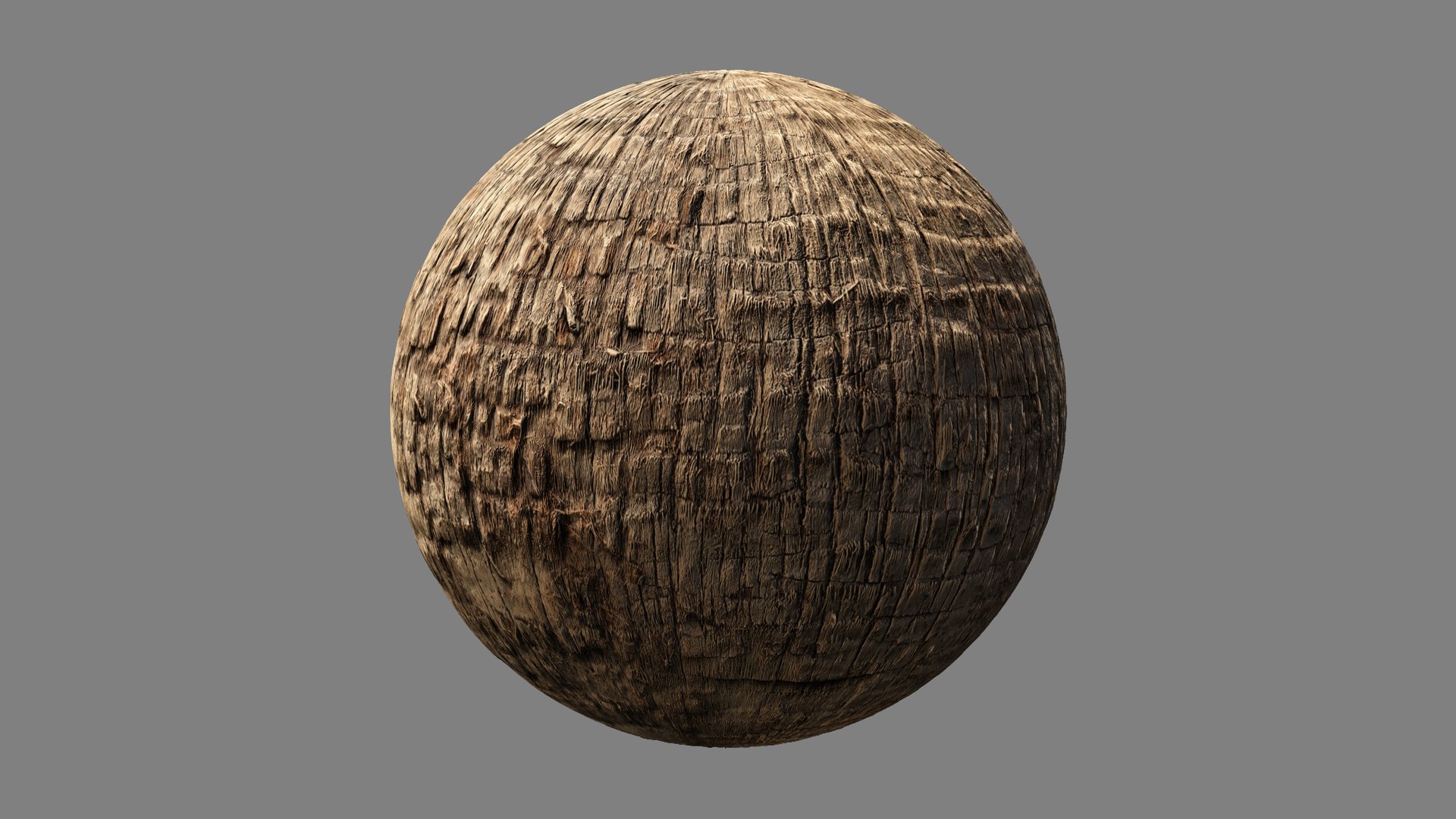 Washingtonia palm unbarked 3xPBR 8K model https://p.turbosquid.com/ts-thumb/0c/EArqeu/Qy/washingtonia2_02/jpg/1763622038/1920x1080/fit_q87/72447ca9e273ffc99f0671730a0d30af788008b0/washingtonia2_02.jpg
