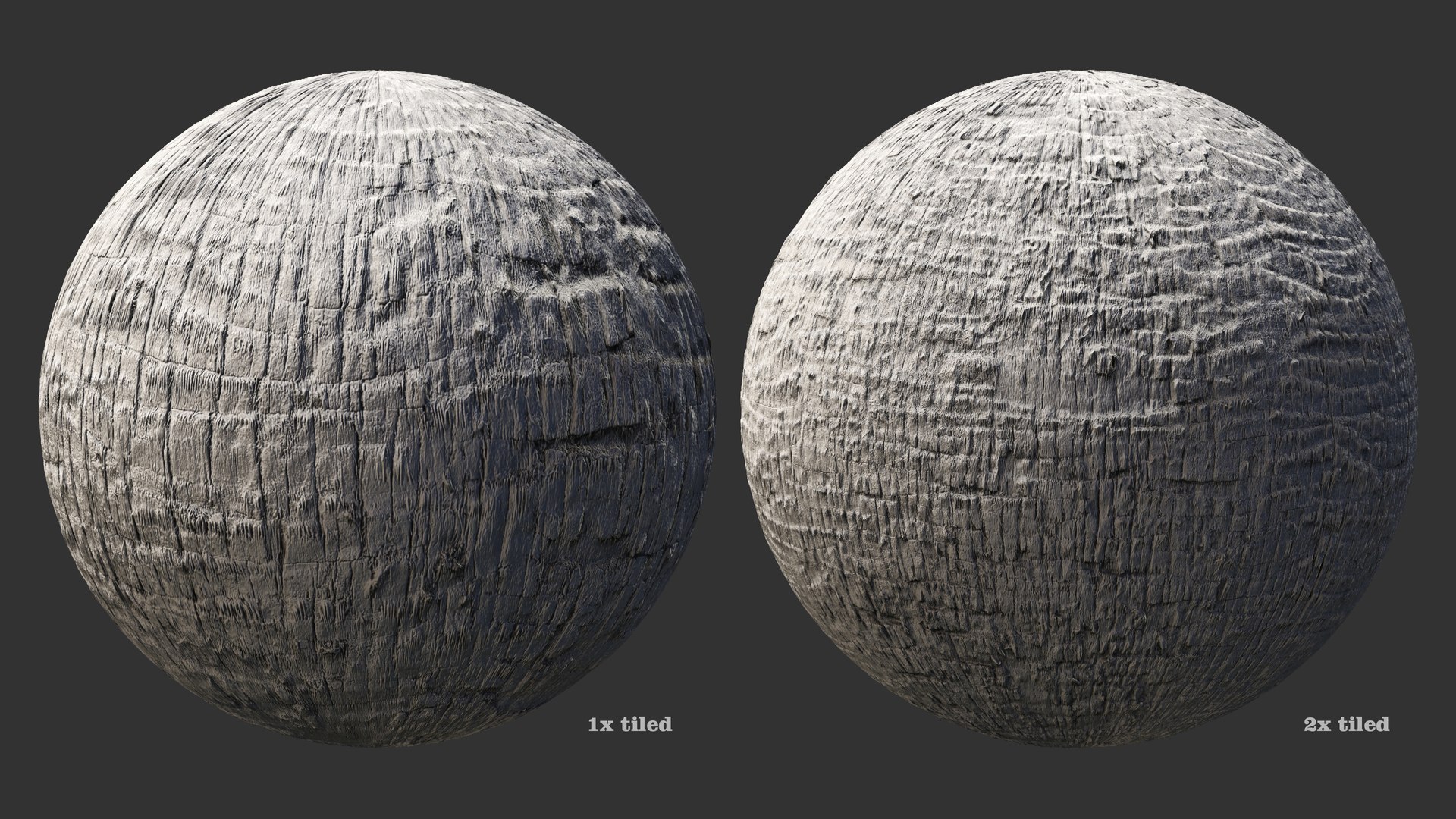 Washingtonia palm unbarked 3xPBR 8K model https://p.turbosquid.com/ts-thumb/0c/EArqeu/ZV/washingtonia2_05/jpg/1763622045/1920x1080/fit_q87/1f0ea86fac7ac7c9ebb1ebe17e23d102ca67c7ea/washingtonia2_05.jpg