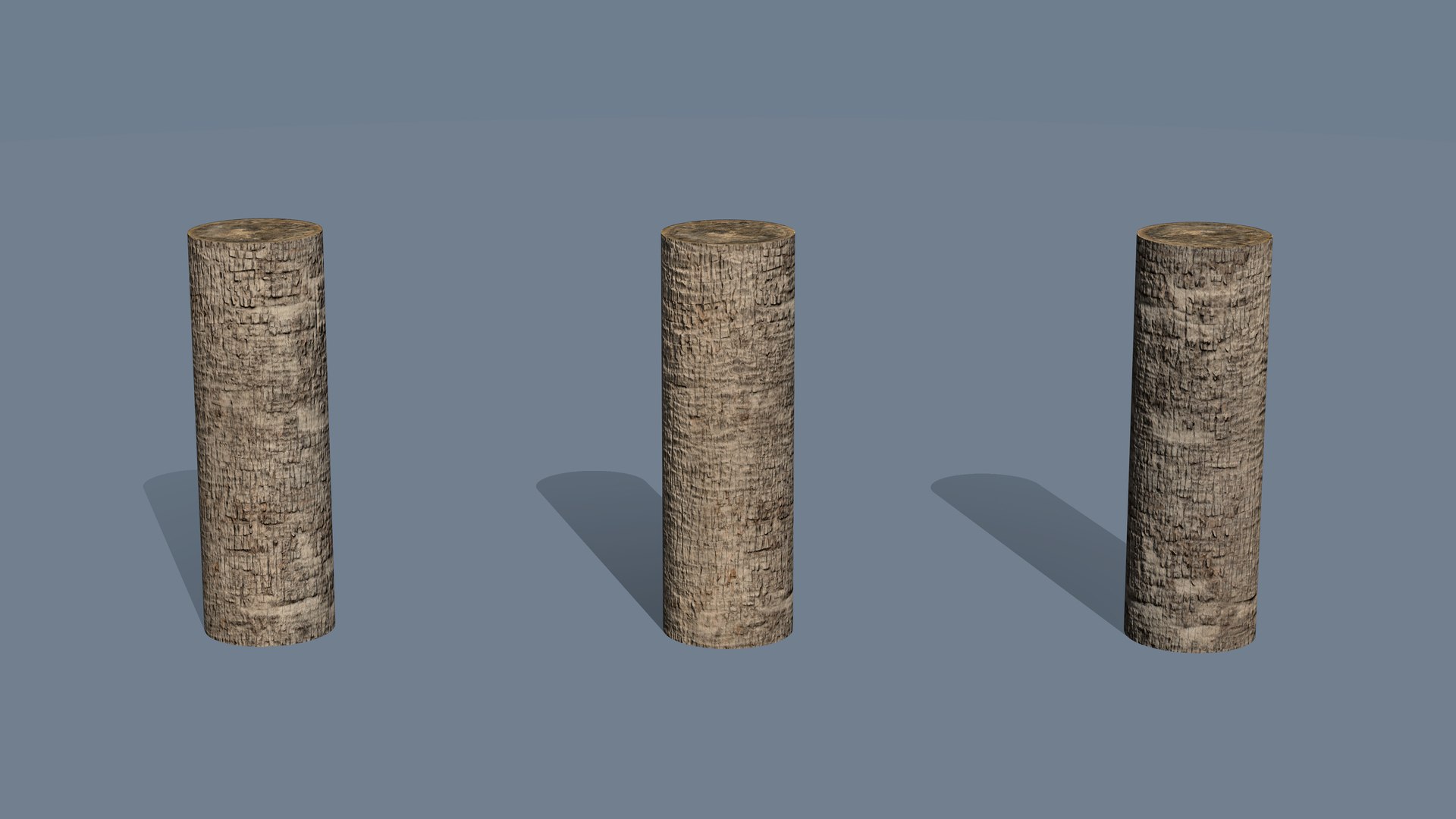 Washingtonia palm unbarked 3xPBR 8K model https://p.turbosquid.com/ts-thumb/0c/EArqeu/ly/mat_b03/jpg/1763621838/1920x1080/fit_q87/779983c010b15cd934c9ba6f8a25db608edfe444/mat_b03.jpg