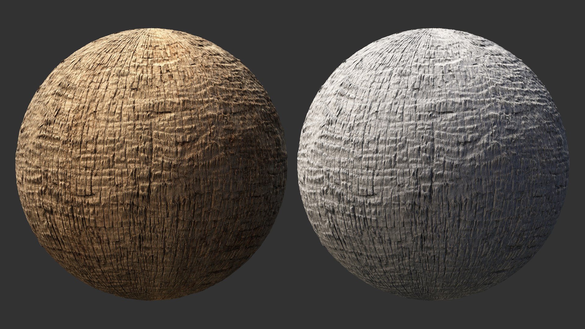 Washingtonia palm unbarked 3xPBR 8K model https://p.turbosquid.com/ts-thumb/0c/EArqeu/pg/washingtonia2_06/jpg/1763622049/1920x1080/fit_q87/5d2bf4079f2167f5f4804047a5b665c14997af02/washingtonia2_06.jpg