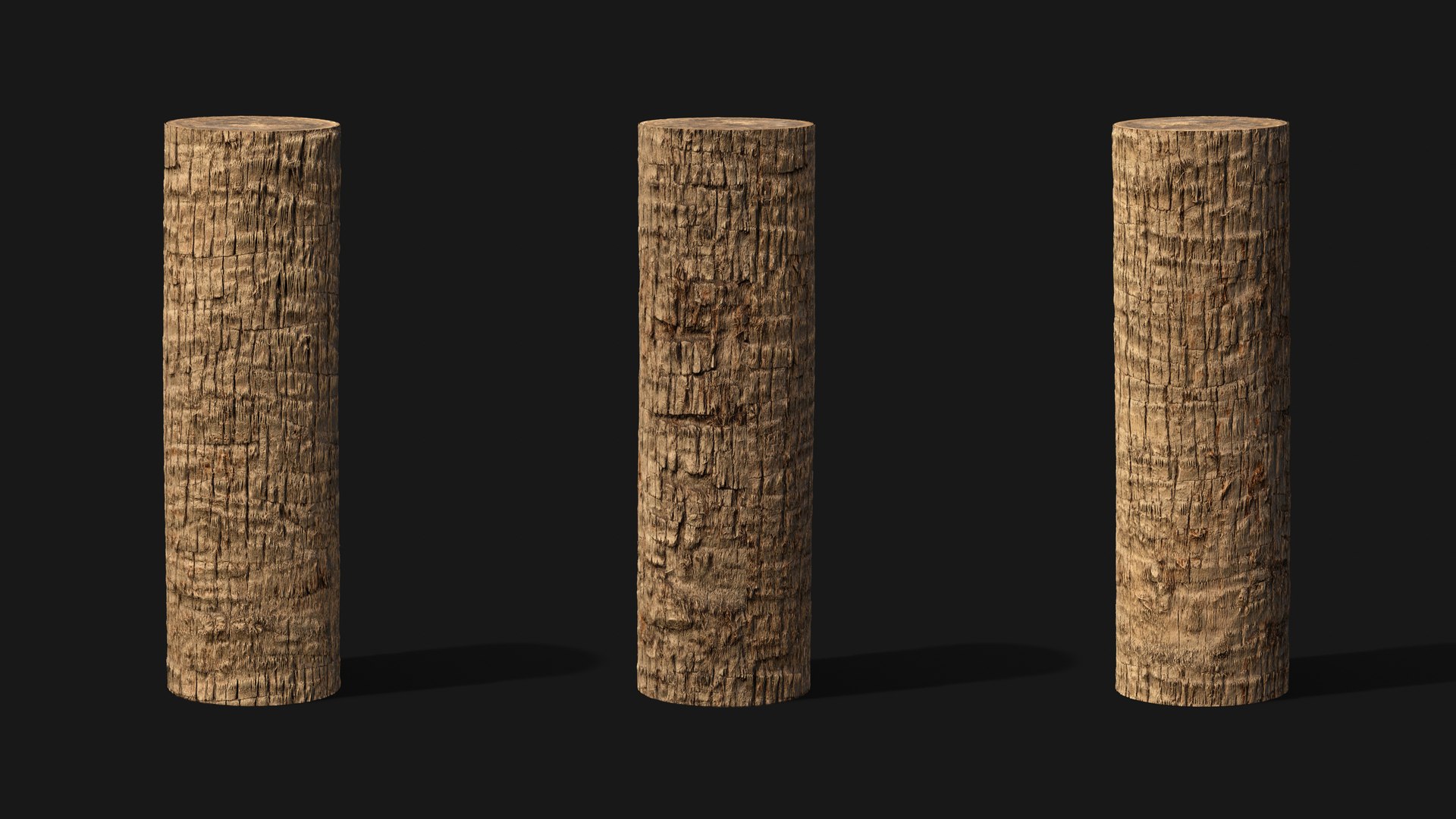 Washingtonia palm unbarked 3xPBR 8K model https://p.turbosquid.com/ts-thumb/0c/EArqeu/uB/washingtonia2_08/jpg/1763622051/1920x1080/fit_q87/a02fcaa1145837177b399b0a0f311faa41a4b1aa/washingtonia2_08.jpg