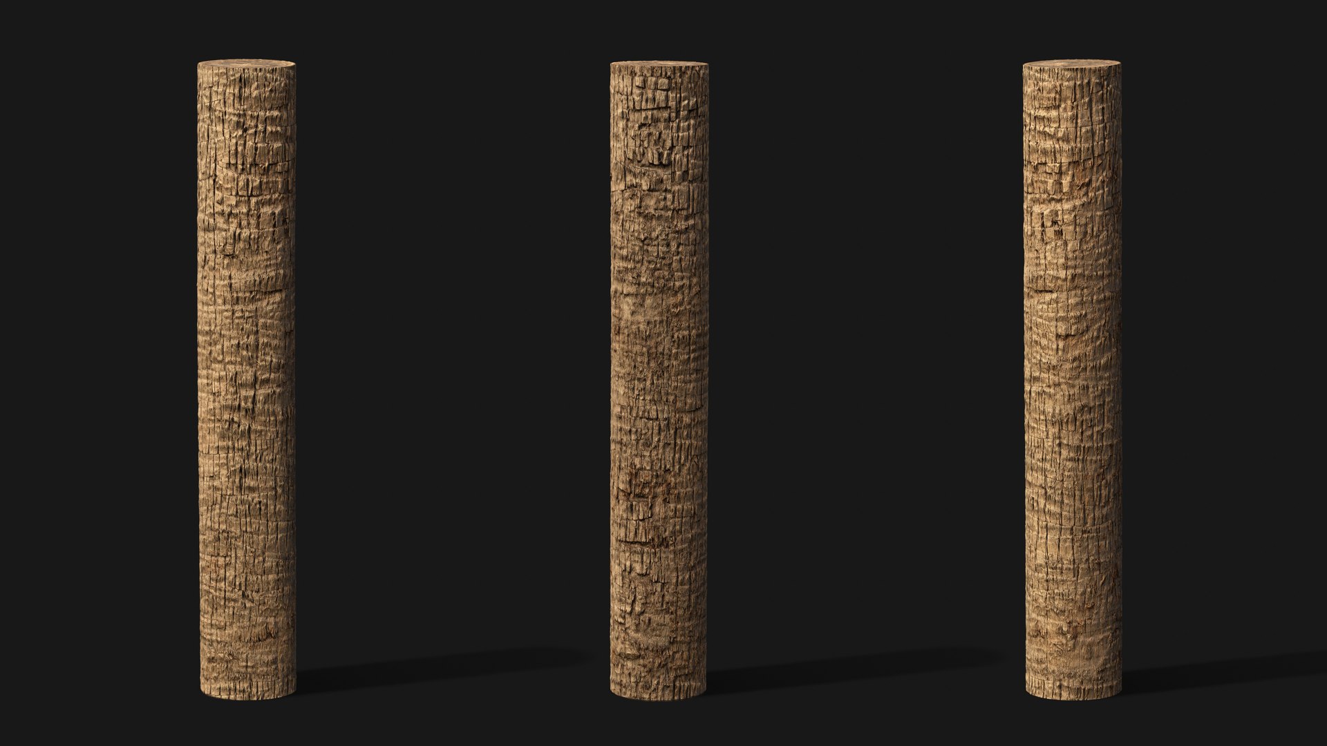 Washingtonia palm unbarked 3xPBR 8K model https://p.turbosquid.com/ts-thumb/0c/EArqeu/uz/washingtonia2_07/jpg/1763622049/1920x1080/fit_q87/233c55379e8ff6a99f550ea4bacc387b7c788e2f/washingtonia2_07.jpg
