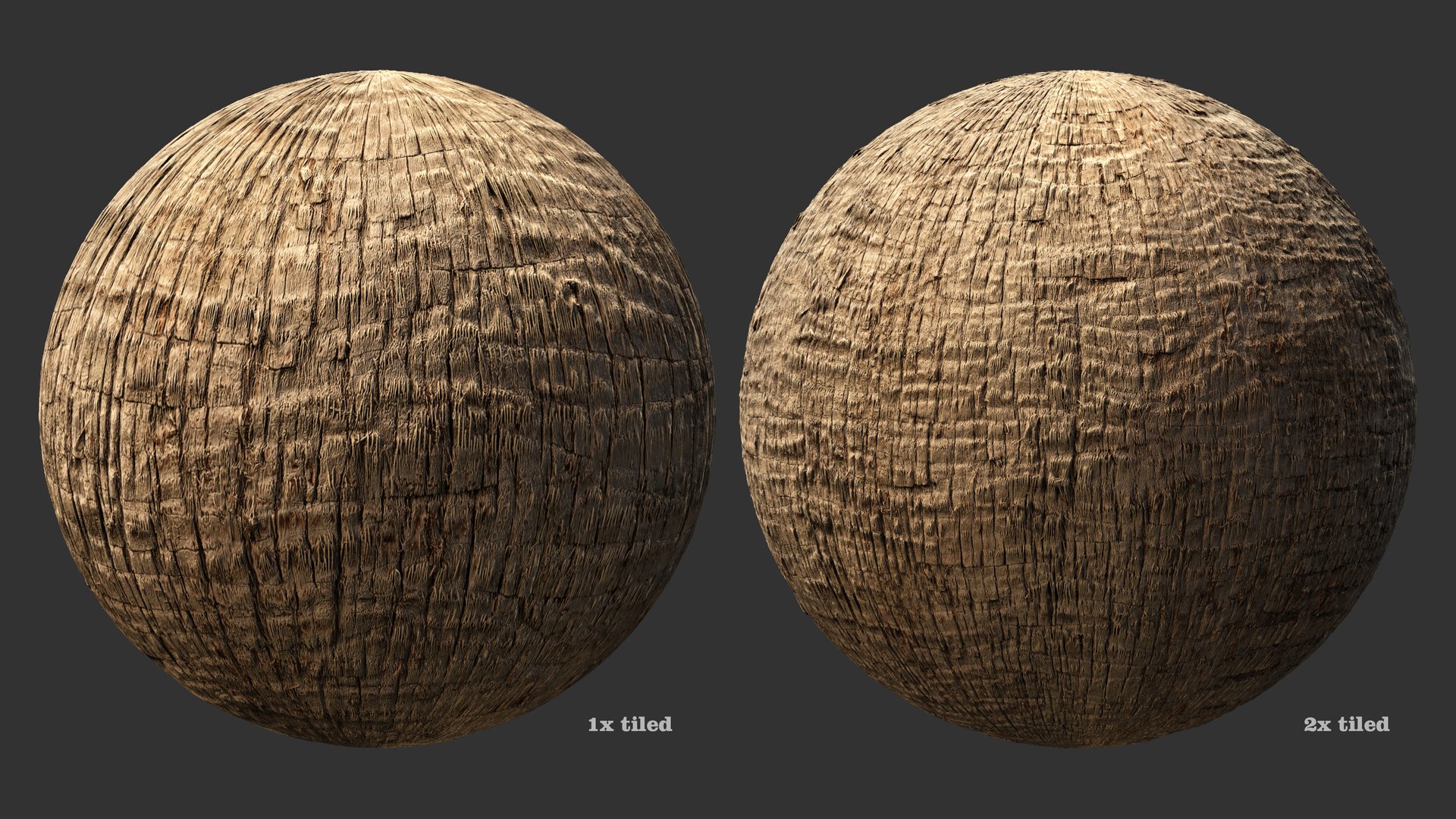 Washingtonia palm unbarked 3xPBR 8K model https://p.turbosquid.com/ts-thumb/0c/EArqeu/wI/washingtonia2_04/jpg/1763622047/1920x1080/fit_q87/4c09e3a0f1f97ed5ce518491daf6baefccf4d32e/washingtonia2_04.jpg