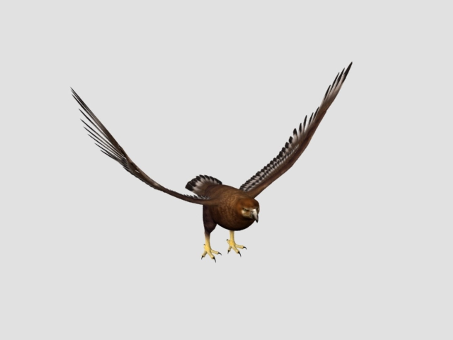 3D eagle feather model https://p.turbosquid.com/ts-thumb/0c/EIFRnn/T5Rk3cG6/rig_render/jpg/1553690647/1920x1080/fit_q87/b3afe3e54178a8d68861ce818d7128ba181f9dc5/rig_render.jpg