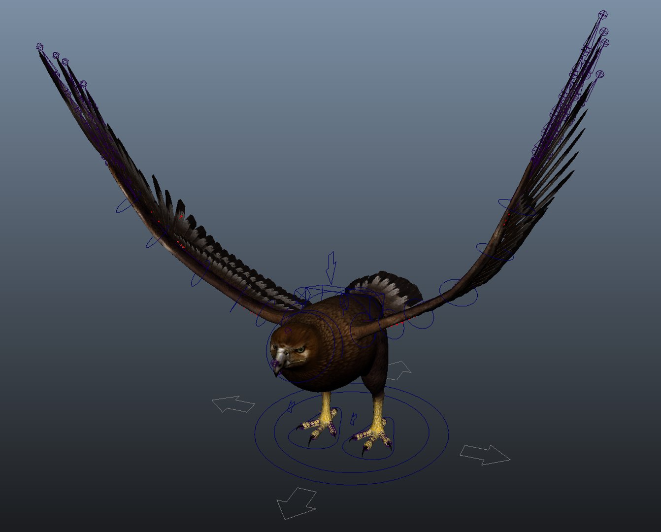 3D eagle feather model https://p.turbosquid.com/ts-thumb/0c/EIFRnn/T6D0ENkP/screenshot/jpg/1553690647/1920x1080/fit_q87/41d03a1e05a1d6695807ff76222bd8fc6dde07b0/screenshot.jpg