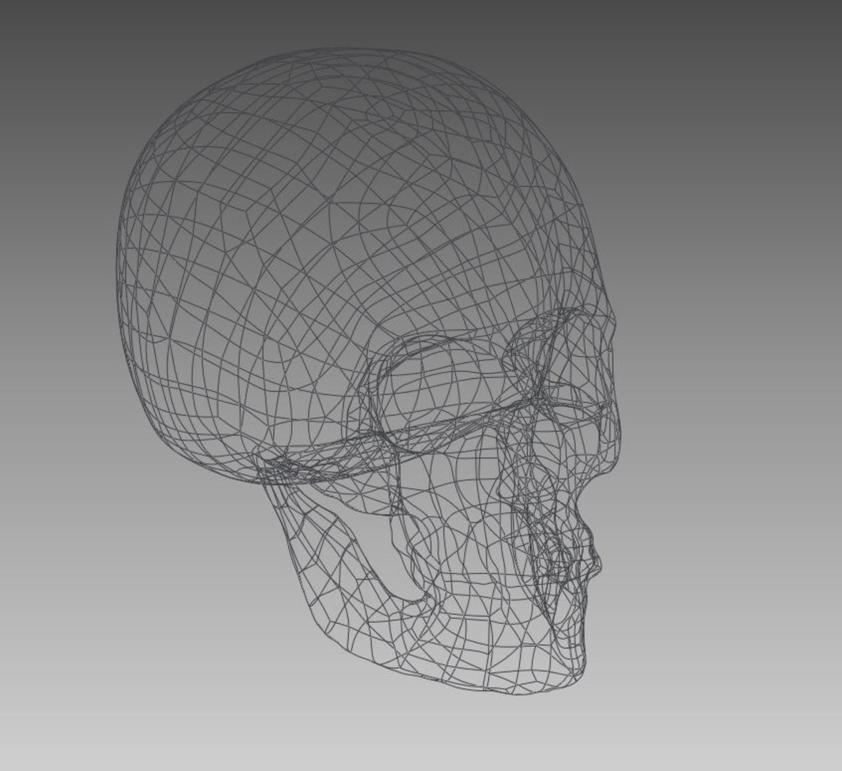 skull 3D model https://p.turbosquid.com/ts-thumb/0c/IXzoHm/9w/13/jpg/1616001132/1920x1080/fit_q87/fc3650ee3f7b25884b3ce7bf429b02ef2c71c1c0/13.jpg