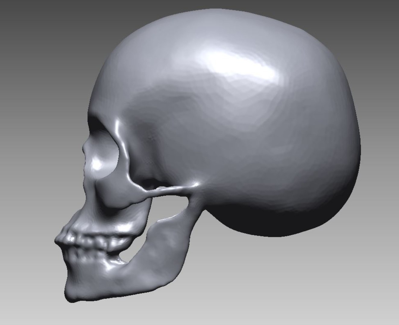 skull 3D model https://p.turbosquid.com/ts-thumb/0c/IXzoHm/Ic/04/jpg/1616000805/1920x1080/fit_q87/661f87ae92322f454c93b6371ca91a6f880b31ed/04.jpg