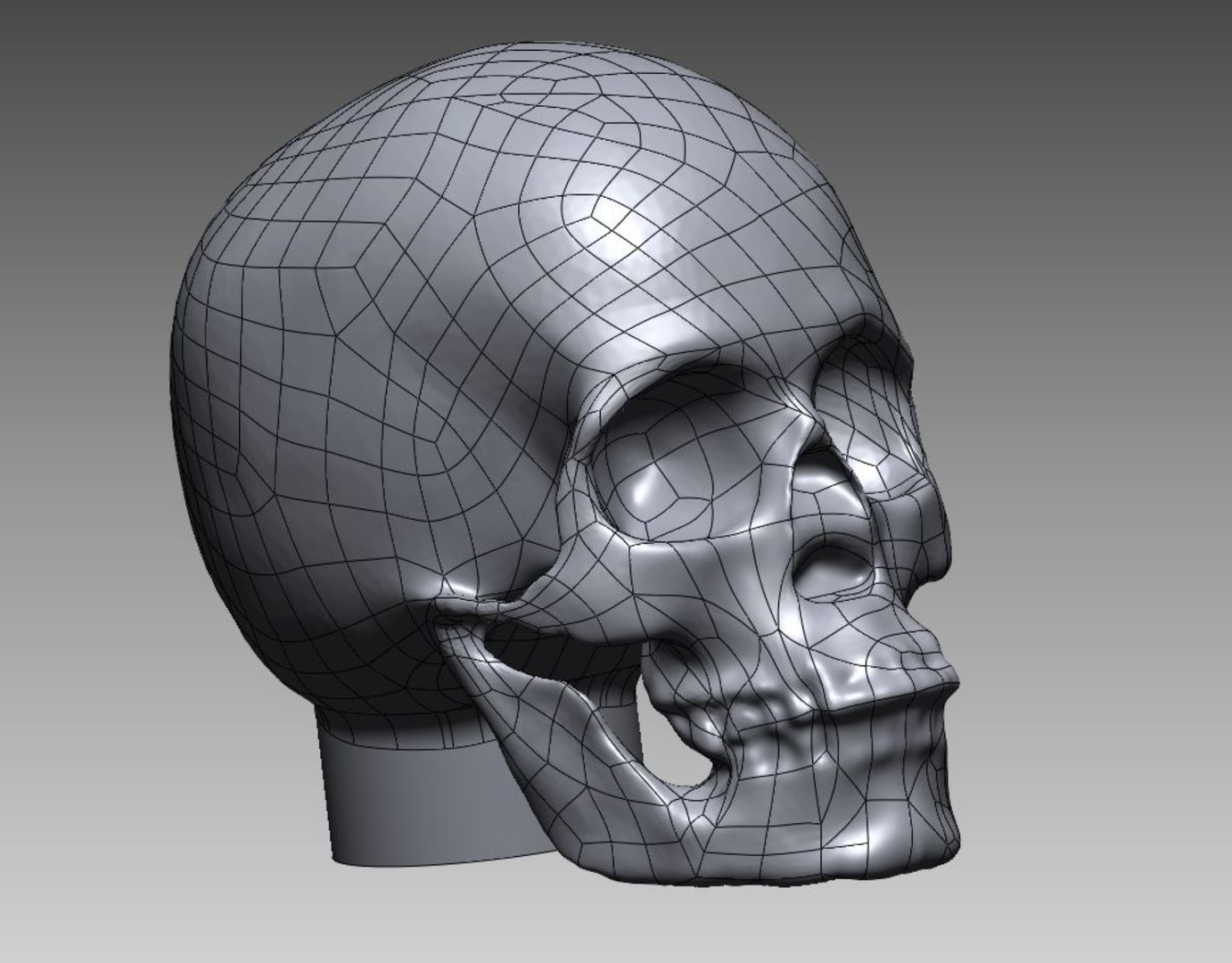 skull 3D model https://p.turbosquid.com/ts-thumb/0c/IXzoHm/Ju/11/jpg/1616000811/1920x1080/fit_q87/c23104975096bd91be234734b19d4fe6ab3f116a/11.jpg