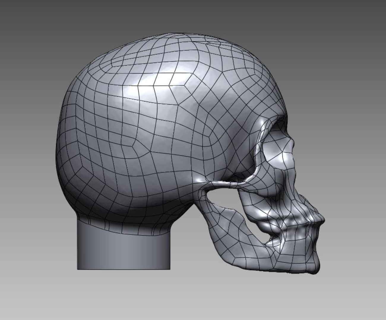skull 3D model https://p.turbosquid.com/ts-thumb/0c/IXzoHm/Ox/08/jpg/1616000811/1920x1080/fit_q87/888bb4d0242078952e84ff92cce4a278d92ff54d/08.jpg