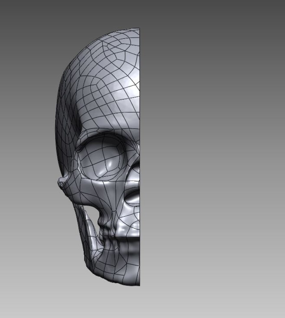 skull 3D model https://p.turbosquid.com/ts-thumb/0c/IXzoHm/Pk/10/jpg/1616000806/1920x1080/fit_q87/82088b59db7b23eafc39298d2b8befb8a603b2ab/10.jpg