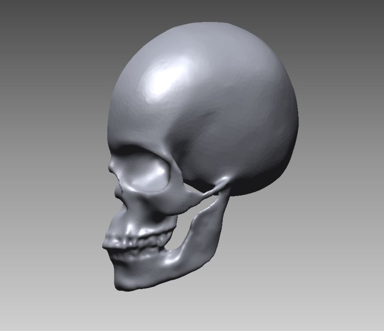 skull 3D model https://p.turbosquid.com/ts-thumb/0c/IXzoHm/ma/06/jpg/1616000805/1920x1080/fit_q87/470778f06c6d69d5fabff6d6099c93d9f9b3ece4/06.jpg