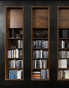modern bookcase model