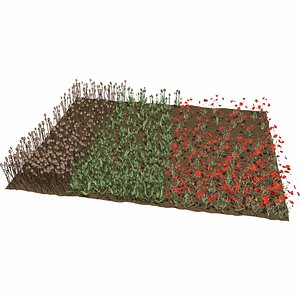 Poppy Field 3D model