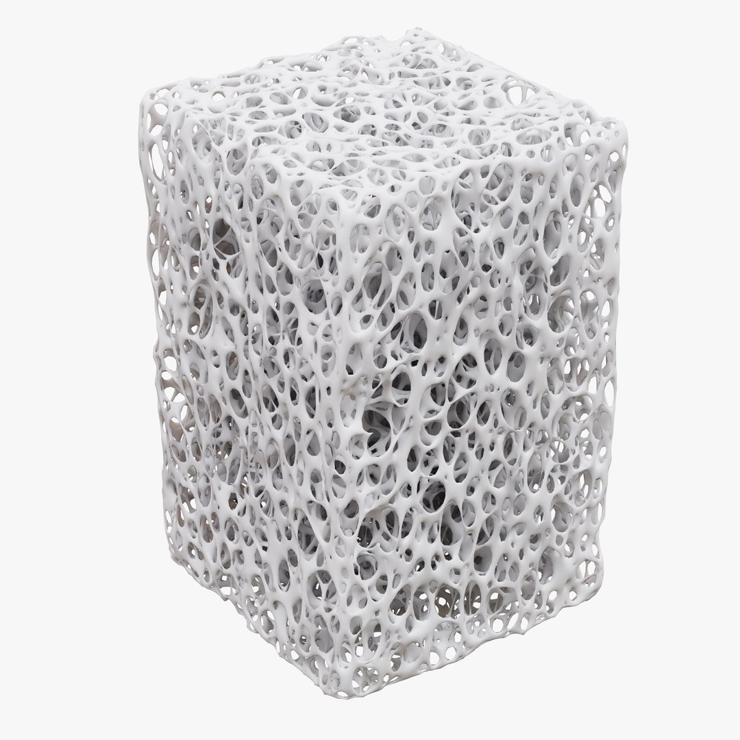 Bone Structure model https://p.turbosquid.com/ts-thumb/0c/sGUJfm/NQ/1/png/1636797449/1920x1080/fit_q87/833e460ca9e733577a74ff0566fa93117fe528aa/1.jpg