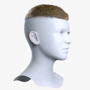 Men Textured Crop Fade Blonde Hair 3D Asset model