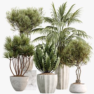 AV Indoor Plants Set 525 Yucca Olive Areca Palm Spathiphyllum