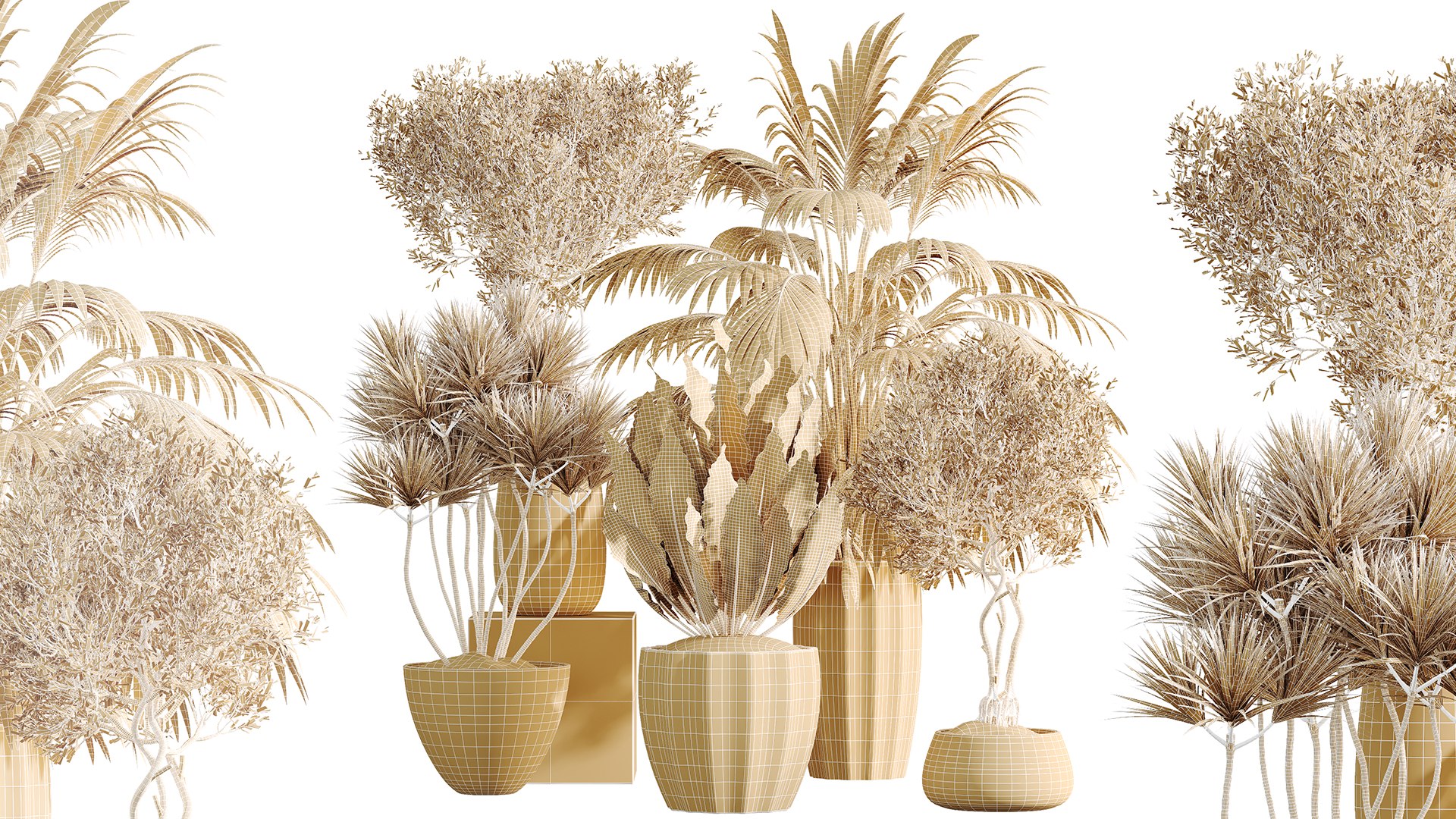 AV Indoor Plants Set 525 Yucca Olive Areca Palm Spathiphyllum 3D https://p.turbosquid.com/ts-thumb/0d/DTQUwj/uM/07/png/1785223193/1920x1080/fit_q87/04e82b4f178ad10d40e69d8bb8be93cb797303bc/07.jpg