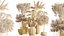 Set di piante da interno AV 525 Yucca Olivo Areca Palma Spathiphyllum