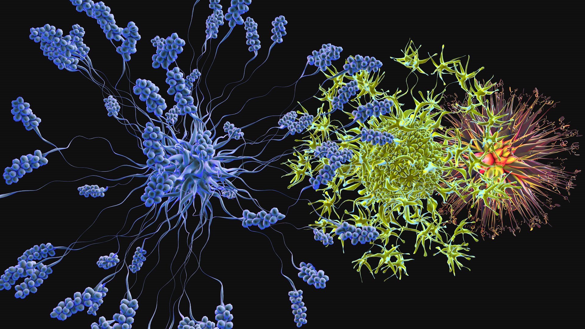 Set of viruses 3D model https://p.turbosquid.com/ts-thumb/0d/EeozTq/6Z/viruses5/jpg/1736876111/1920x1080/fit_q87/5bf12233ae8988496b3bc3ced7ea7f3ad1bd99ea/viruses5.jpg