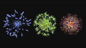 Set of viruses 3D model