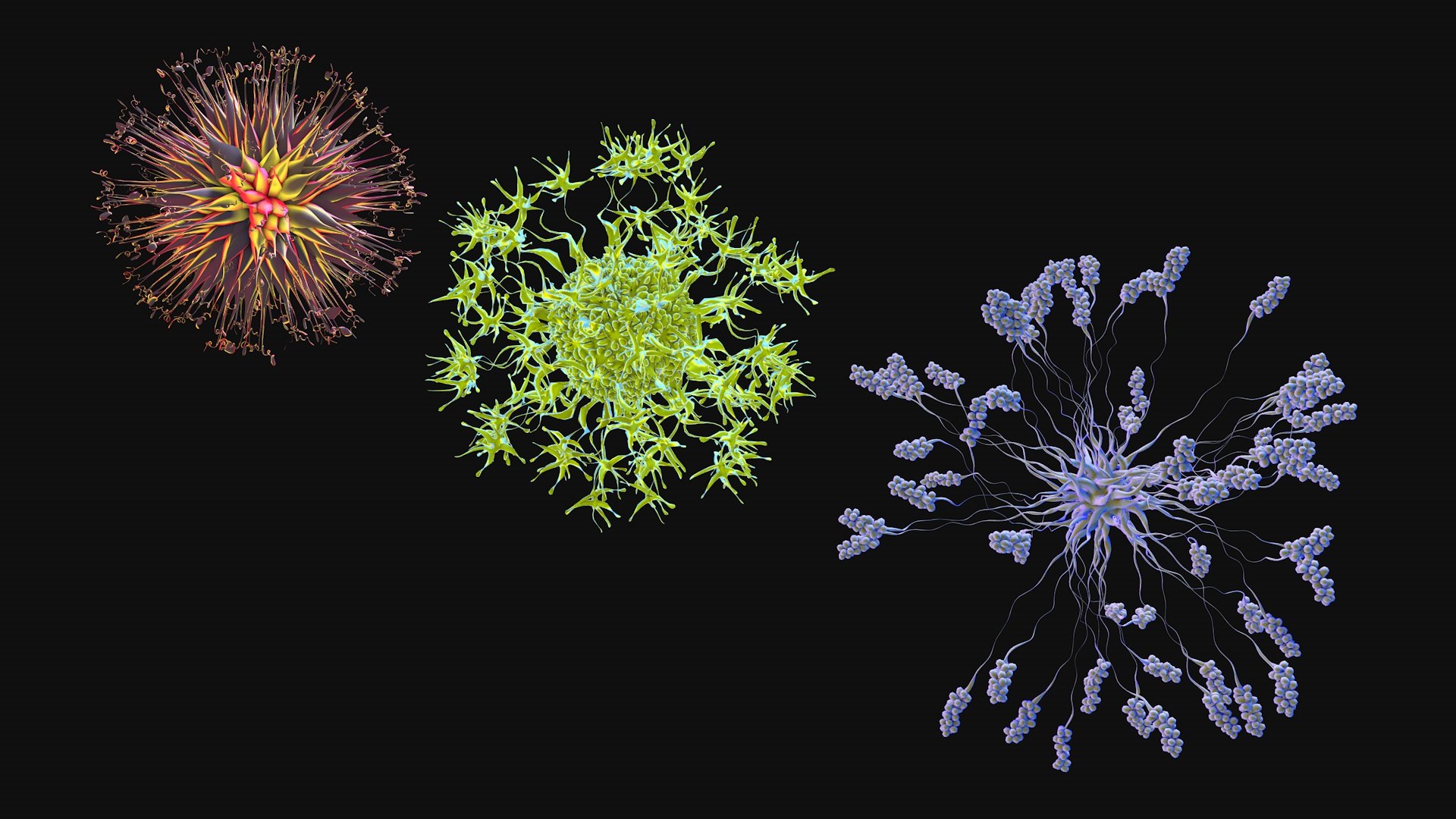 Set of viruses 3D model https://p.turbosquid.com/ts-thumb/0d/EeozTq/NZ/viruses2/jpg/1736876113/1920x1080/fit_q87/fcd7b2d1e76231f8a6fb356afe721419f84193e8/viruses2.jpg