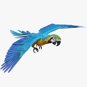 Blue and Yellow Macaw Parrot Rigged for Maya 3D