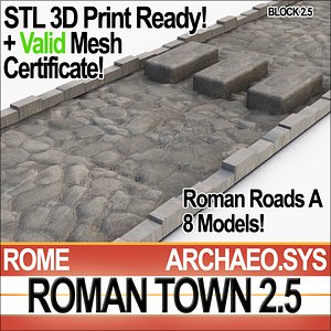Roman Town Roads A 2.5 STL Printable