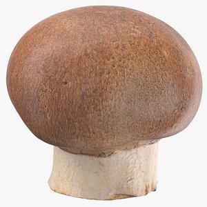 Crimino Mushroom 02