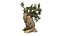 Pinus Longaeva Tree Modelo 3d
